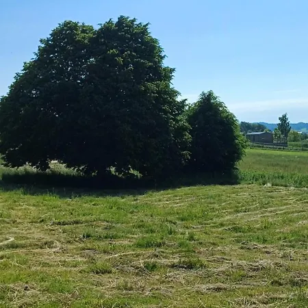 Siedlisko Na Skarpie Feriegård Garcz